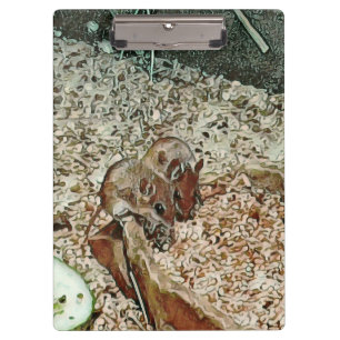 Toony dwarf mice clipboard