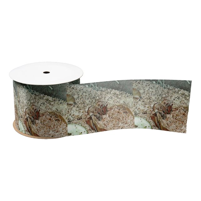 Toony dwarf mice satin ribbon (Spool)