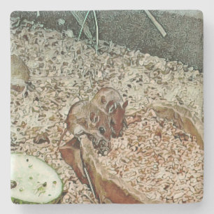 Toony dwarf mice stone coaster