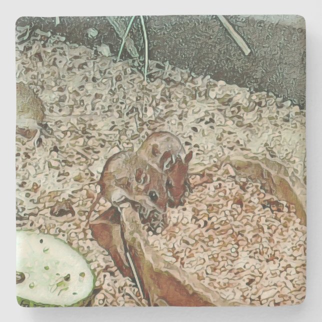 Toony dwarf mice stone coaster (Front)