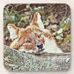 Toony Fox Coaster