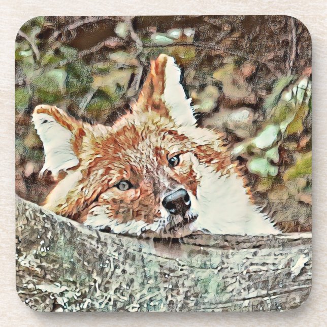 Toony Fox Coaster (Front)