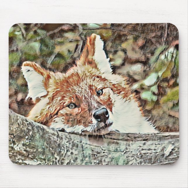 Toony Fox Mouse Pad (Front)