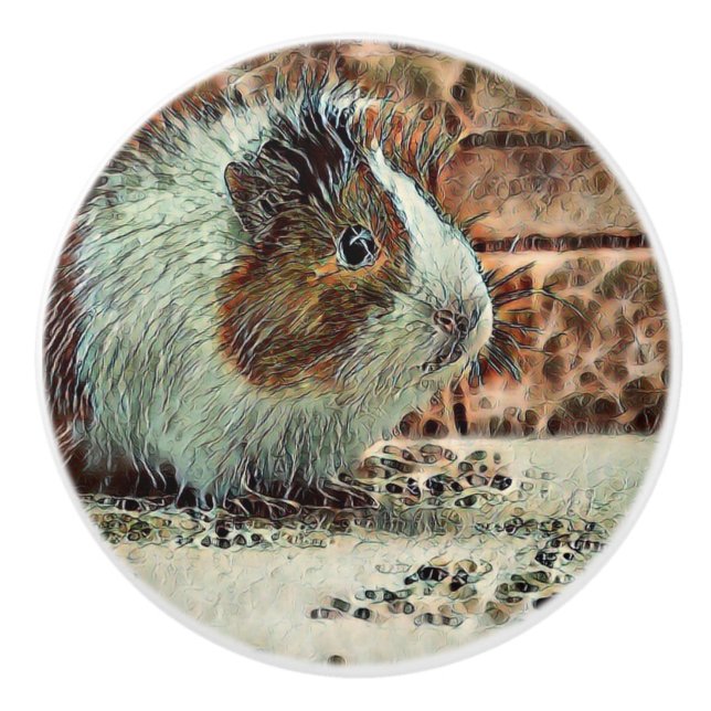 toony guinea pig ceramic knob (Front)
