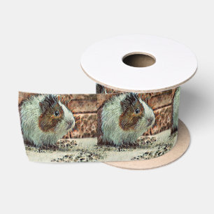 toony guinea pig satin ribbon
