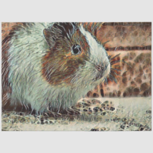 toony guinea pig tissue paper