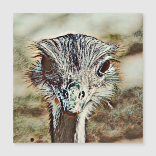 toony ostrich