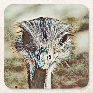 toony ostrich square paper coaster