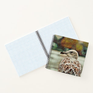 toony seagull notebook