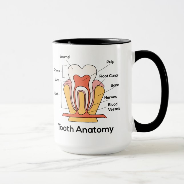 Tooth Anatomy Chart Mug (Right)