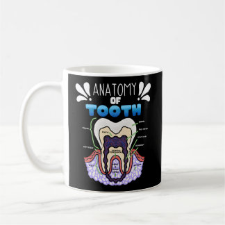 Tooth Anatomy Dentist Humour For Orthodontist Coffee Mug