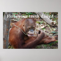 Tooth Care Floss Children's Dentist
