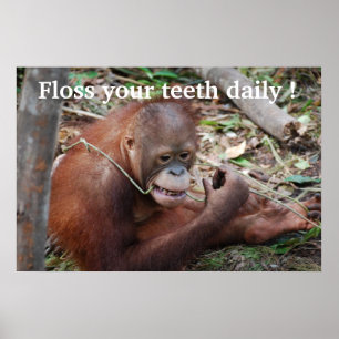 Tooth Care Floss Children's Dentist Poster