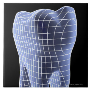 Tooth, computer artwork of a molar tooth ceramic tile