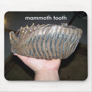 tooth, mammoth tooth mouse pad
