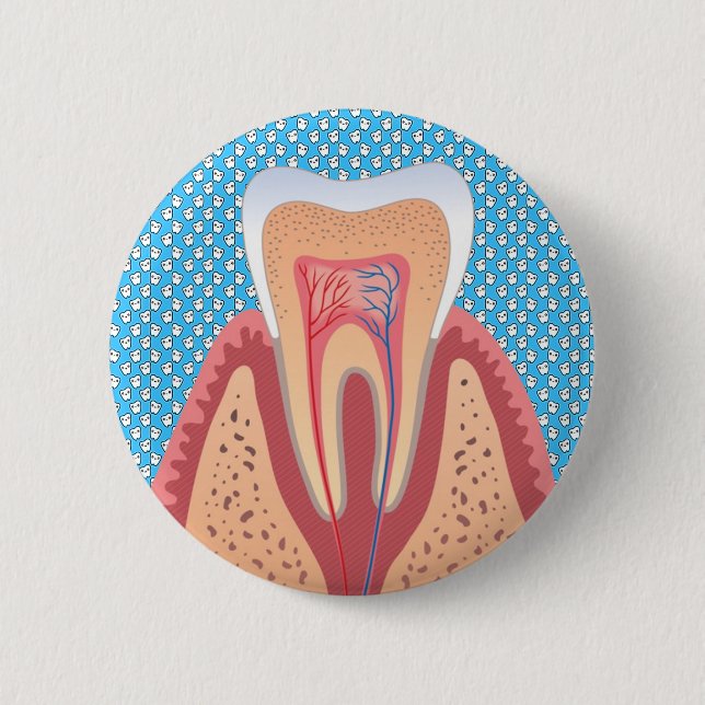 TOOTH STRUCTURE 6 CM ROUND BADGE (Front)