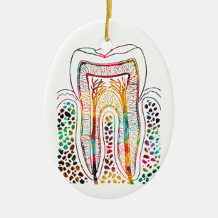 Tooth Structure Ceramic Ornament