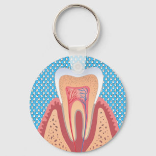 TOOTH STRUCTURE KEY RING