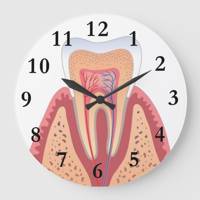 TOOTH STRUCTURE LARGE CLOCK (Front)
