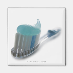 Toothbrush and toothpaste magnet