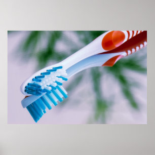 Toothbrush Poster