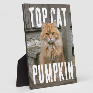 Top Cat PhotoPop Plaque
