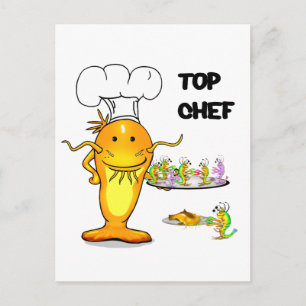 Top Chef Catfish Postcard