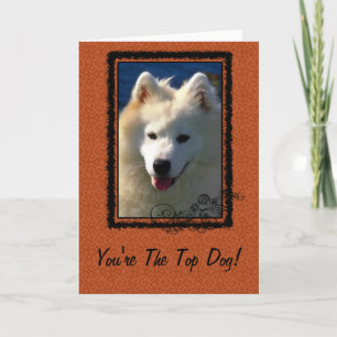 Top Dog Greeting Card