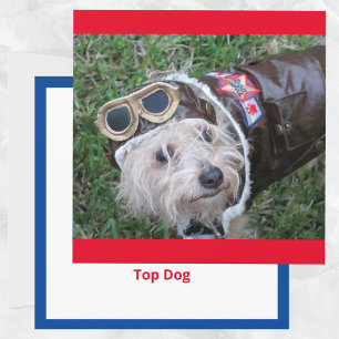 Top Dog in Aviator Costume Flat Note Card
