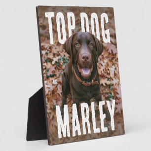 Top Dog PhotoPop Plaque