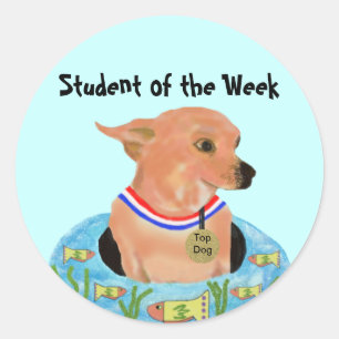 Top Dog Student Stickers