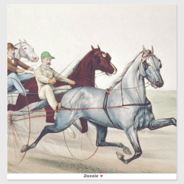 TOP Harness Racing (Sheet)