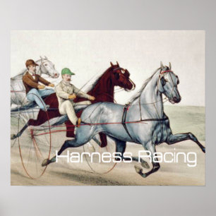 TOP Harness Racing Poster