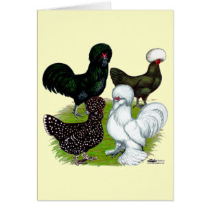 Top Hat Chicken Quartet