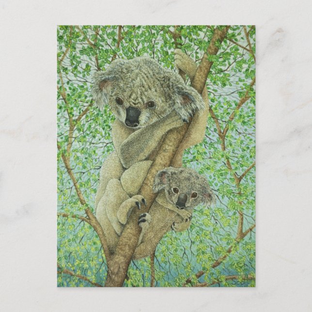 Top of the tree postcard (Front)