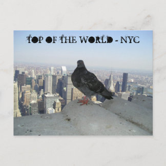 TOP OF THE WORLD - NYC POSTCARD