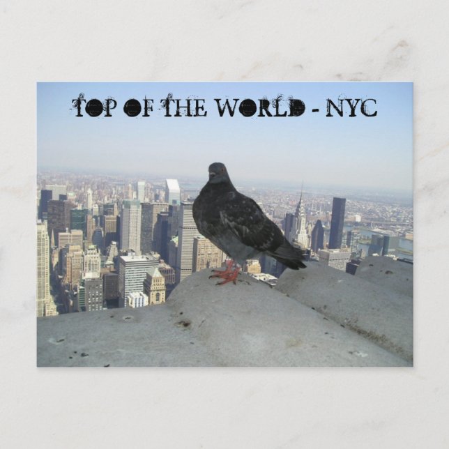 TOP OF THE WORLD - NYC POSTCARD (Front)
