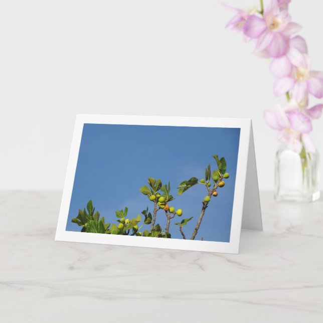 Top of White Fig Tree Card (Orchid)