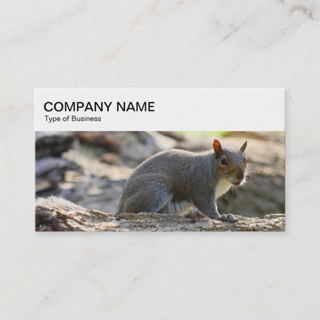 Top Panel - Grey Squirrel Business Card (Front)