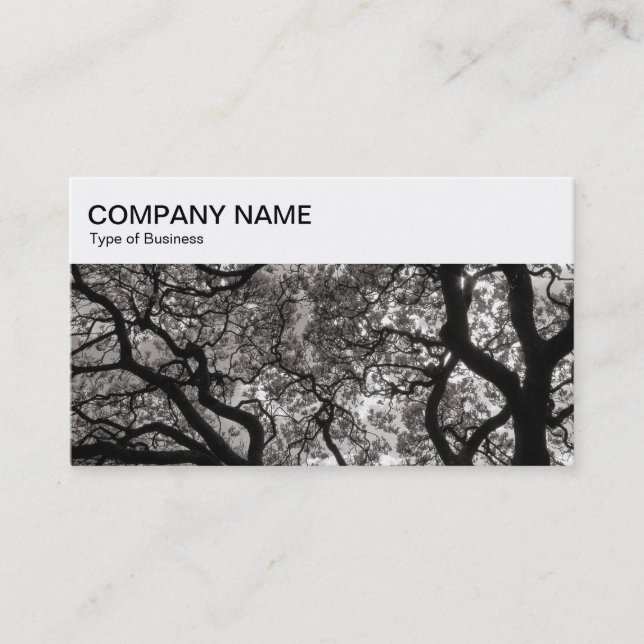 Top Panel - Magnolia Trees Business Card (Front)