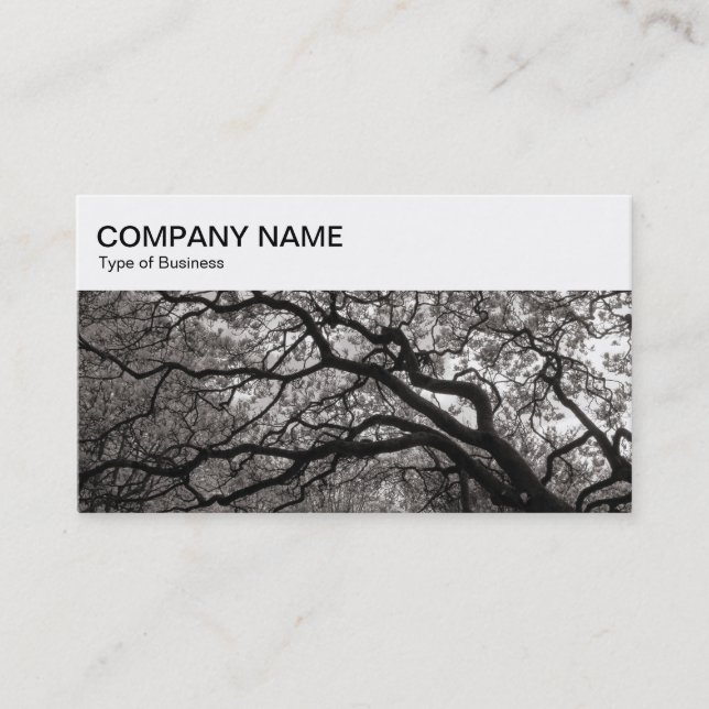 Top Panel - Magnolia Trees Business Card (Front)