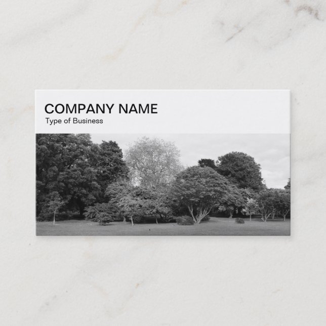 Top Panel - Park BW Business Card (Front)