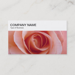Top Panel - Pink Rose Business Card