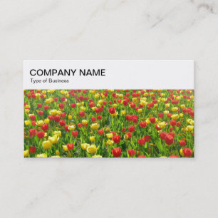 Top Panel - Red and Yellow Tulips 02 Business Card