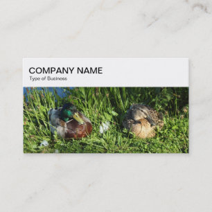 Top Panel - Two Ducks Business Card