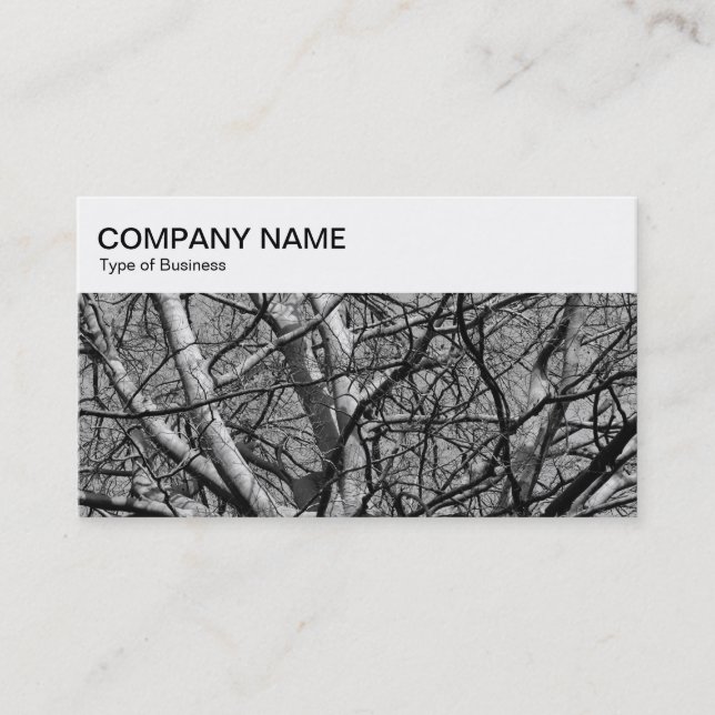 Top Panel - Winter Branches 03 BW Business Card (Front)