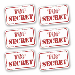 Top Secret Spy