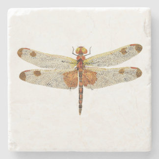 top view of a male Calico Pennant Dragonfly Stone Coaster