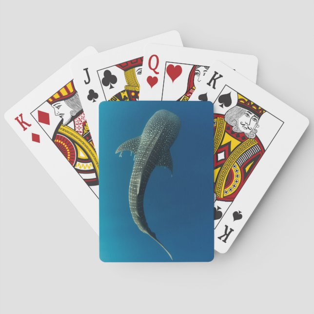 Top view of a Whale Shark Playing Cards (Back)
