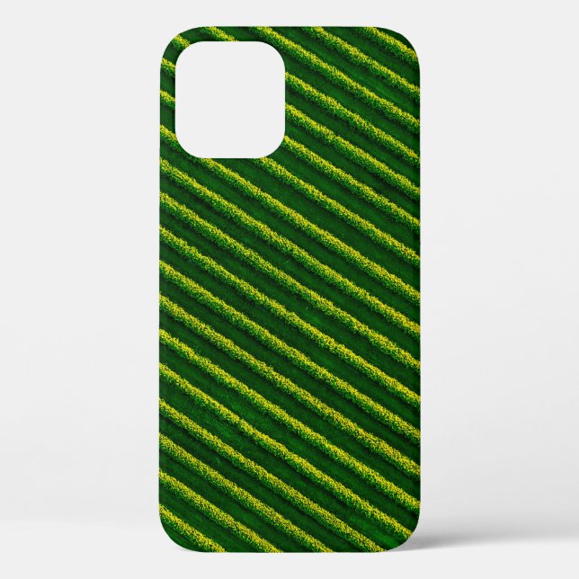 Top view of rows blackcurrant bushes, cultivated l Case-Mate iPhone case (Back)